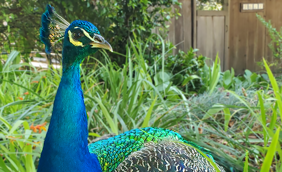 Casino Night and Fundraising Auction